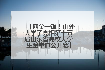 四金一银！山外大学子亮相第十五届山东省高校大学生跆拳道公开赛