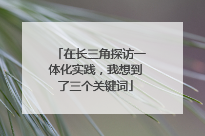 在长三角探访一体化实践，我想到了三个关键词