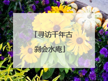 寻访千年古刹会水庵