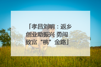 孝昌刘明：返乡创业助振兴 勇闯致富“桃”金路