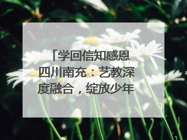 学回信知感恩 四川南充：艺教深度融合，绽放少年儿童风采｜您牵挂的四川