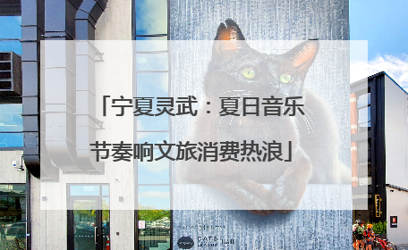 宁夏灵武：夏日音乐节奏响文旅消费热浪