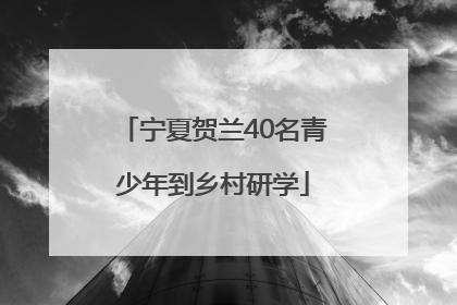 宁夏贺兰40名青少年到乡村研学