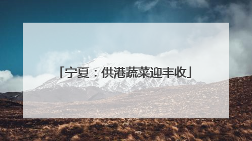 宁夏：供港蔬菜迎丰收