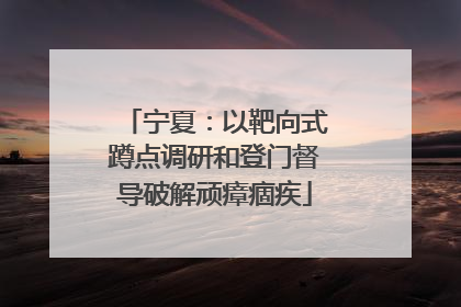 宁夏：以靶向式蹲点调研和登门督导破解顽瘴痼疾