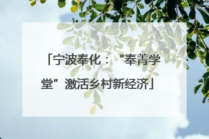 宁波奉化：“奉菁学堂”激活乡村新经济