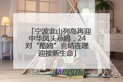 宁波韭山列岛再迎中华凤头燕鸥，24对“酷鸥”喜结连理迎接新生命