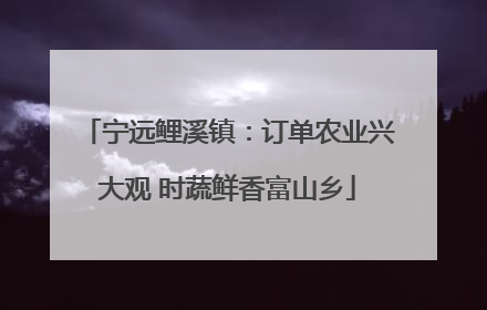 宁远鲤溪镇：订单农业兴大观 时蔬鲜香富山乡