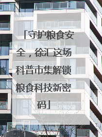 守护粮食安全，徐汇这场科普市集解锁粮食科技新密码