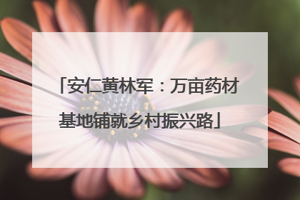 安仁黄林军：万亩药材基地铺就乡村振兴路
