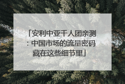 安利中亚千人团亲测：中国市场的流量密码 藏在这些细节里