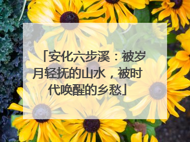 安化六步溪：被岁月轻抚的山水，被时代唤醒的乡愁