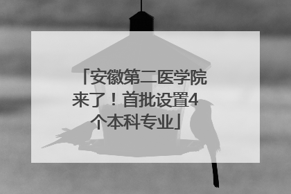 安徽第二医学院来了！首批设置4个本科专业
