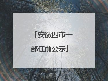 安徽四市干部任前公示