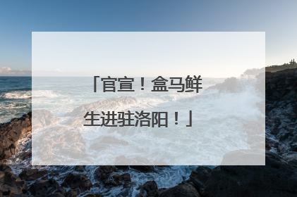 官宣！盒马鲜生进驻洛阳！