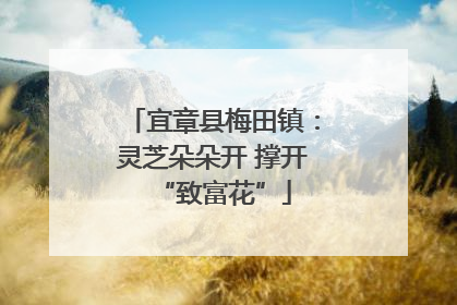 宜章县梅田镇：灵芝朵朵开 撑开“致富花”