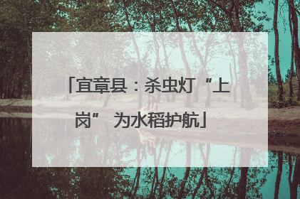宜章县：杀虫灯“上岗” 为水稻护航