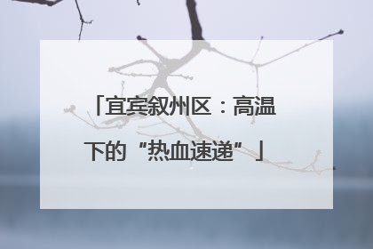 宜宾叙州区：高温下的“热血速递”