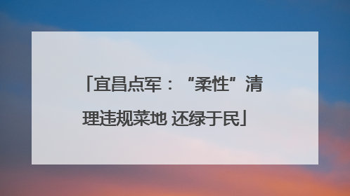 宜昌点军：“柔性”清理违规菜地 还绿于民
