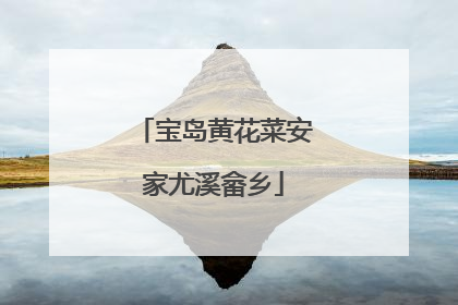 宝岛黄花菜安家尤溪畲乡