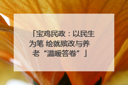 宝鸡民政：以民生为笔 绘就殡改与养老“温暖答卷”