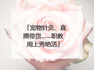 宠物针灸、直播带货……职教周上秀绝活