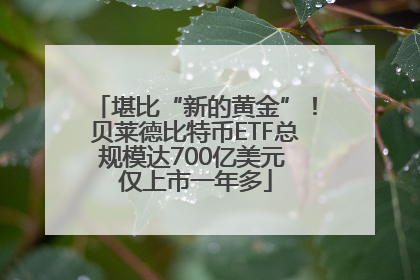 堪比“新的黄金”！贝莱德比特币ETF总规模达700亿美元 仅上市一年多