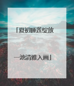 夏初睡莲绽放 一池清雅入画