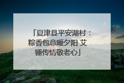 夏津县平安湖村：粽香包意暖夕阳 艾锤传情敬老心