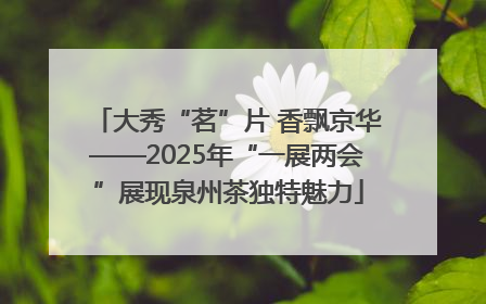 大秀“茗”片 香飘京华——2025年“一展两会”展现泉州茶独特魅力