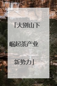 大别山下崛起茶产业新势力