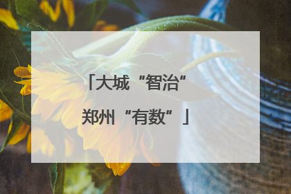 大城“智治” 郑州“有数”