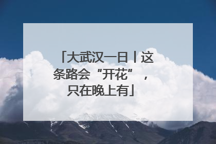 大武汉一日丨这条路会“开花”，只在晚上有
