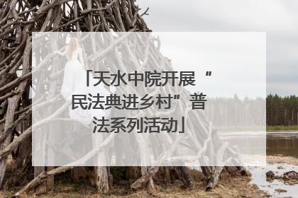 天水中院开展“民法典进乡村”普法系列活动