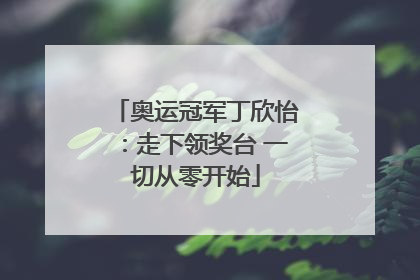 奥运冠军丁欣怡：走下领奖台 一切从零开始