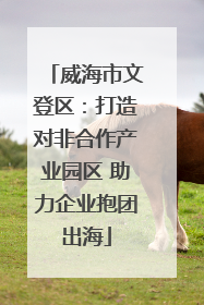 威海市文登区：打造对非合作产业园区 助力企业抱团出海