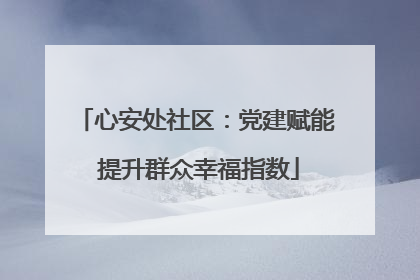 心安处社区：党建赋能 提升群众幸福指数