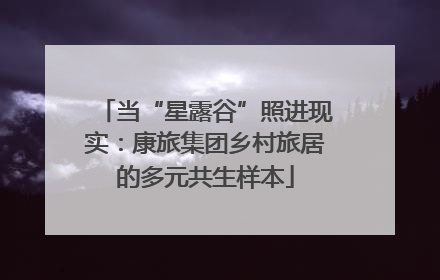 当“星露谷”照进现实：康旅集团乡村旅居的多元共生样本