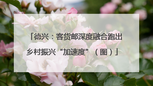 德兴：客货邮深度融合跑出乡村振兴“加速度”（图）