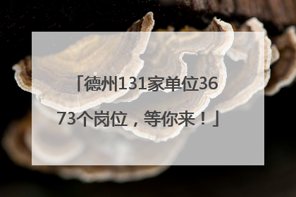 德州131家单位3673个岗位，等你来！