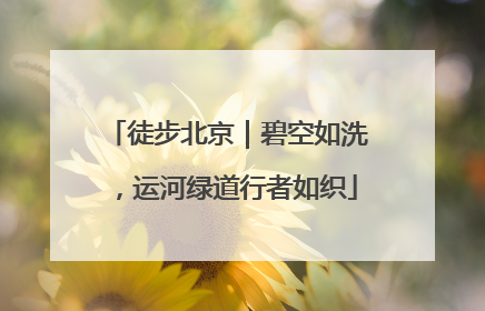 徒步北京｜碧空如洗，运河绿道行者如织