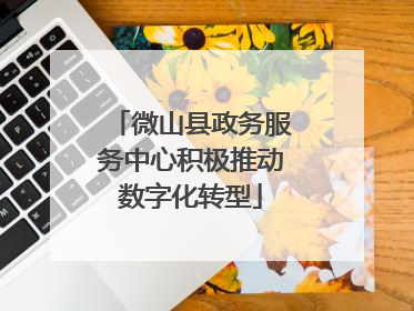 微山县政务服务中心积极推动数字化转型