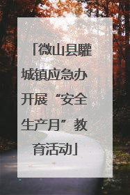 微山县驩城镇应急办开展“安全生产月”教育活动