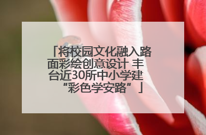 将校园文化融入路面彩绘创意设计 丰台近30所中小学建“彩色学安路”