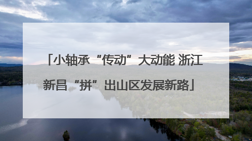 小轴承“传动”大动能 浙江新昌“拼”出山区发展新路