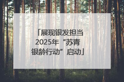 展现银发担当 2025年“苏青银龄行动”启动
