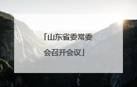 山东省委常委会召开会议