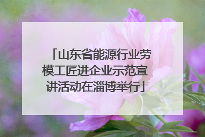 山东省能源行业劳模工匠进企业示范宣讲活动在淄博举行