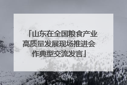 山东在全国粮食产业高质量发展现场推进会作典型交流发言