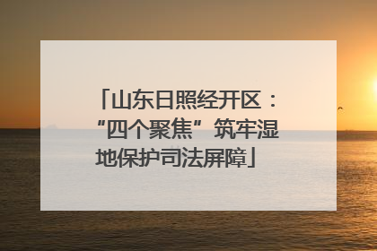 山东日照经开区：“四个聚焦”筑牢湿地保护司法屏障
